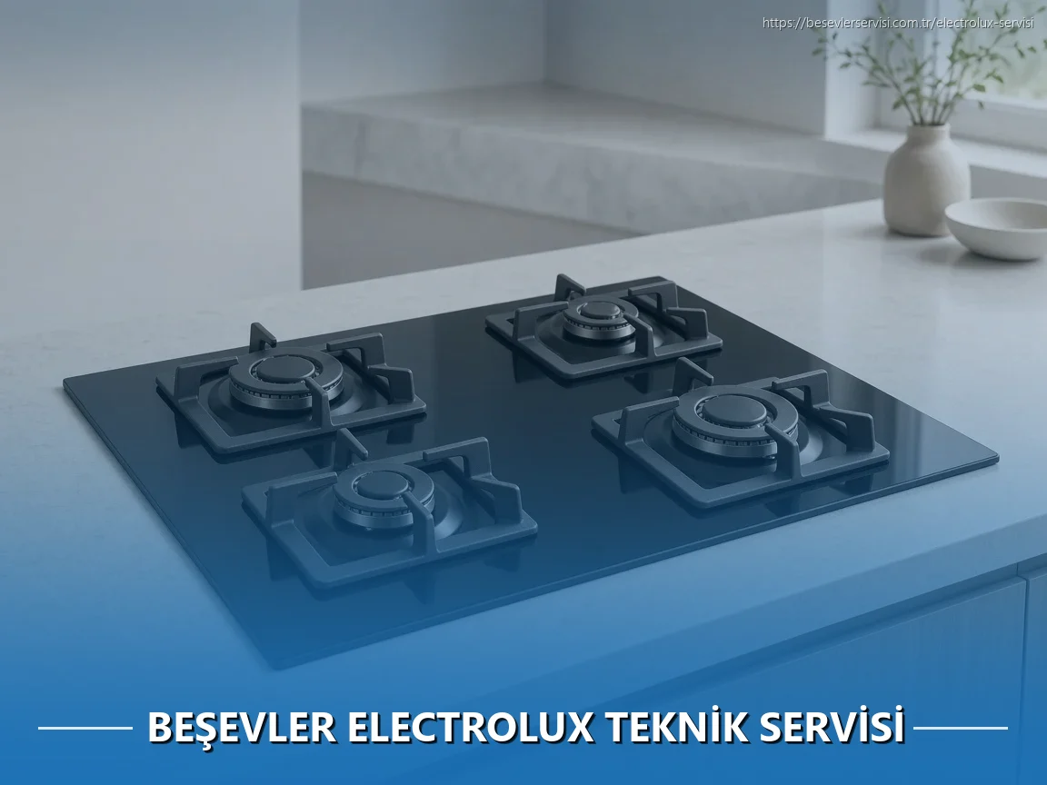 Beşevler Electrolux Teknik Servisi